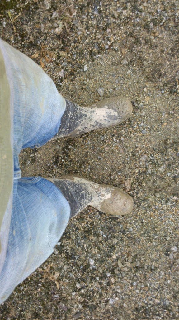 Jason Baut H Aus Fundament Trennmauer