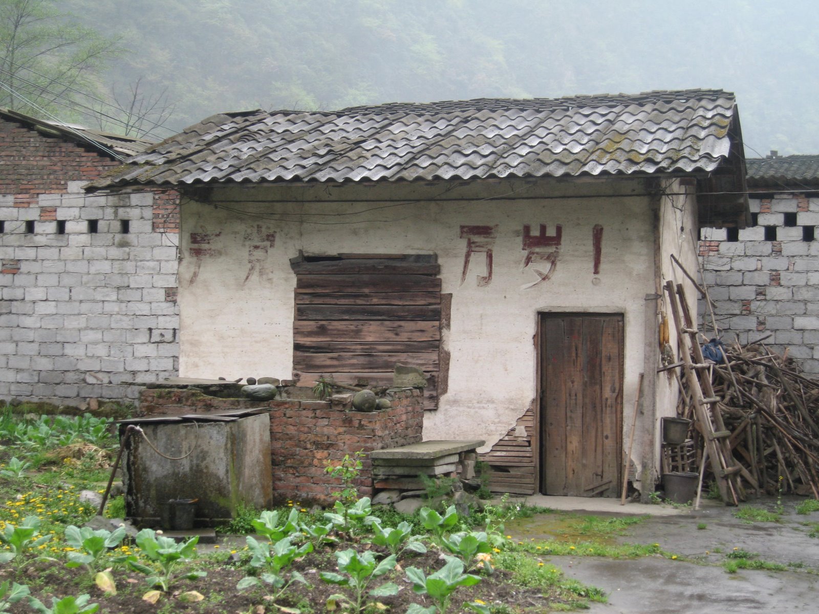 [IMG_3538.JPG]