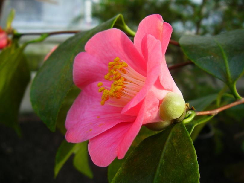 [Botanischer6.jpg]