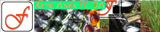 Kami Anak FELDA
