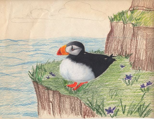 Creator's Joy: Puffin Drawing Project