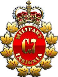 C.7 Military Insignia