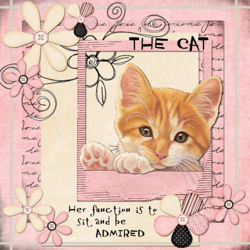 [The+cat.jpg]