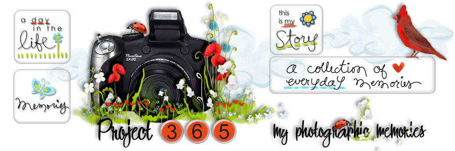 Project 365- my photographic memories