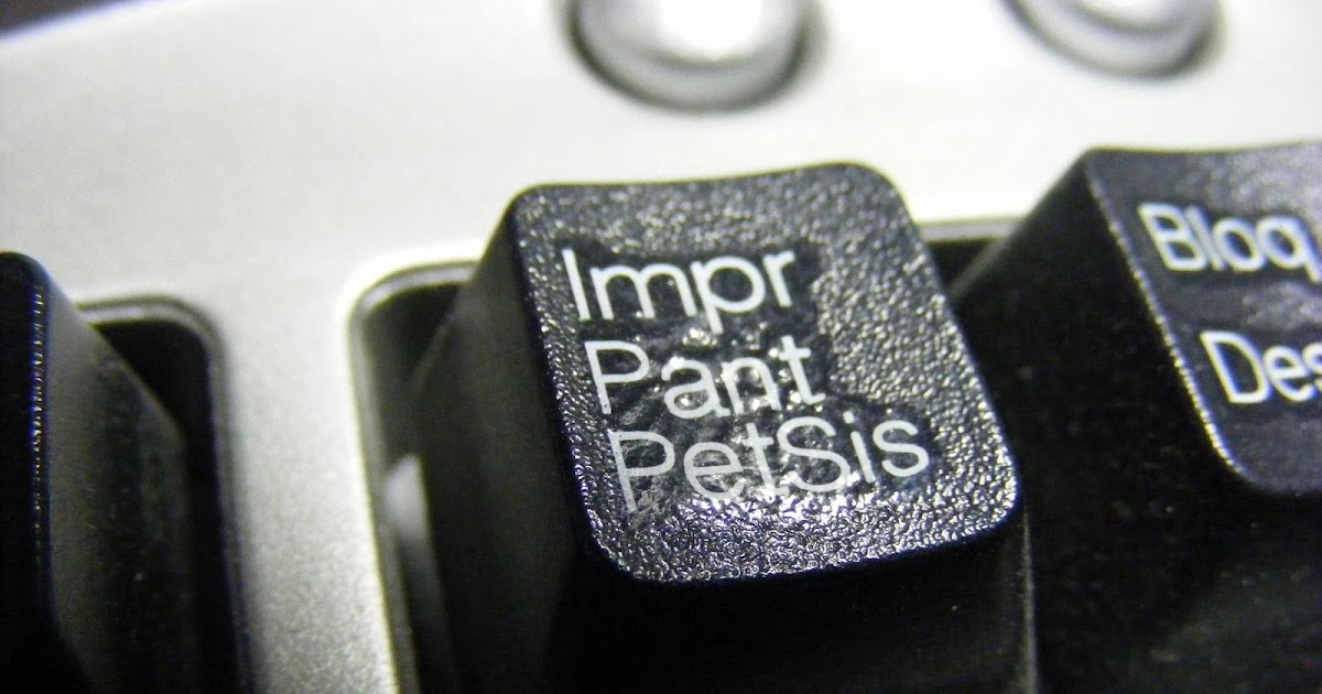 La Tontería más grande jamás contada Impr Pant Pet Sis