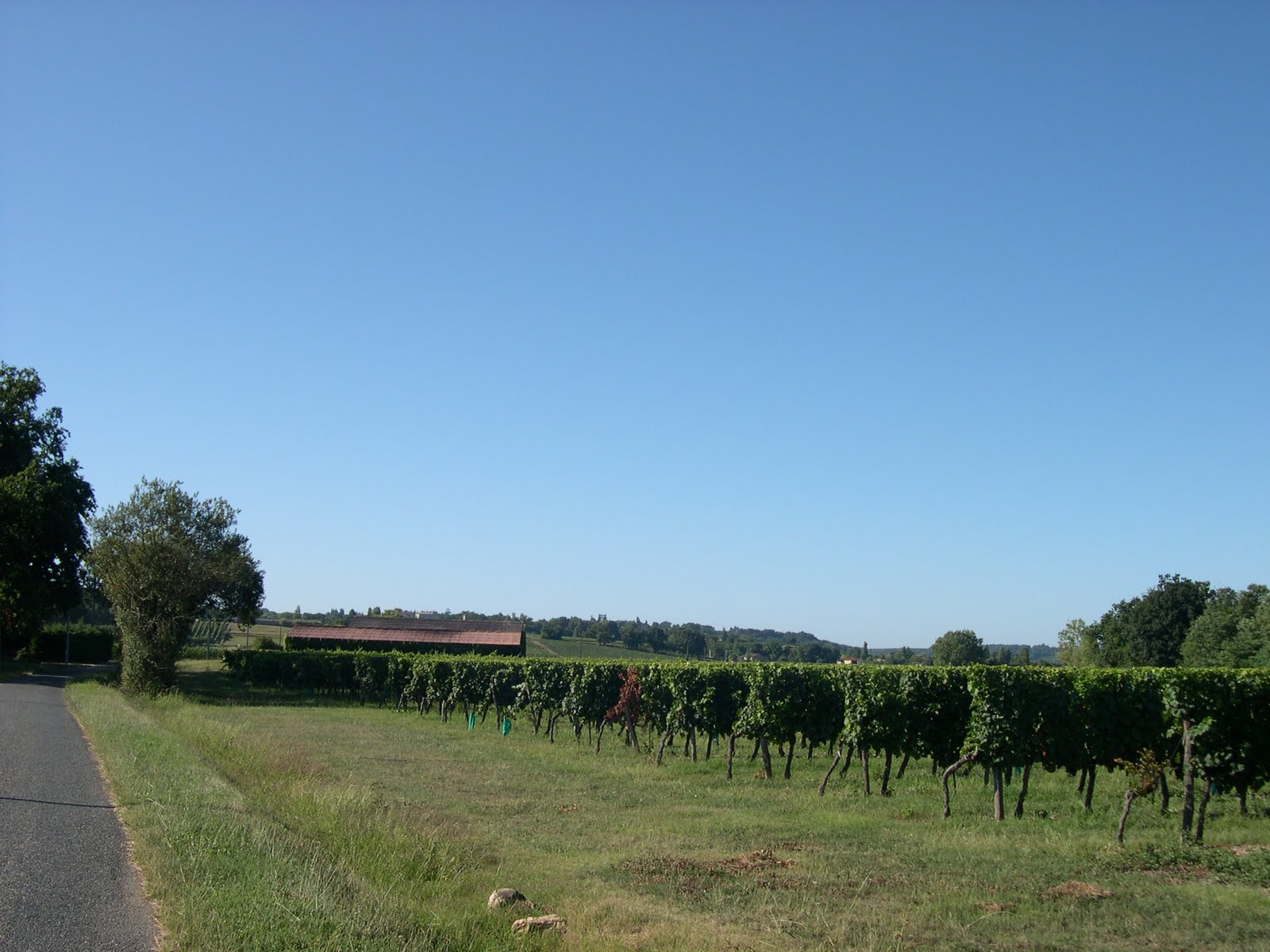 [DSCN0882.JPG]