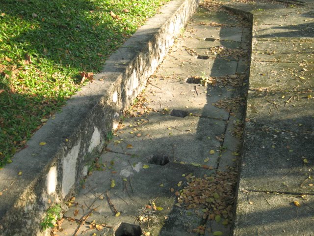 [IMG_2484.JPG]