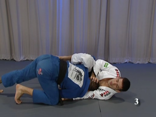 Martial arts brazilian jiu jitsu