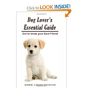 Dog Lover's Essential Guide