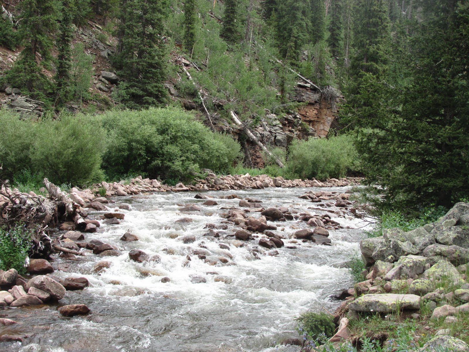 Fisherman's Log Round 2, West Fork of the White Rocks River