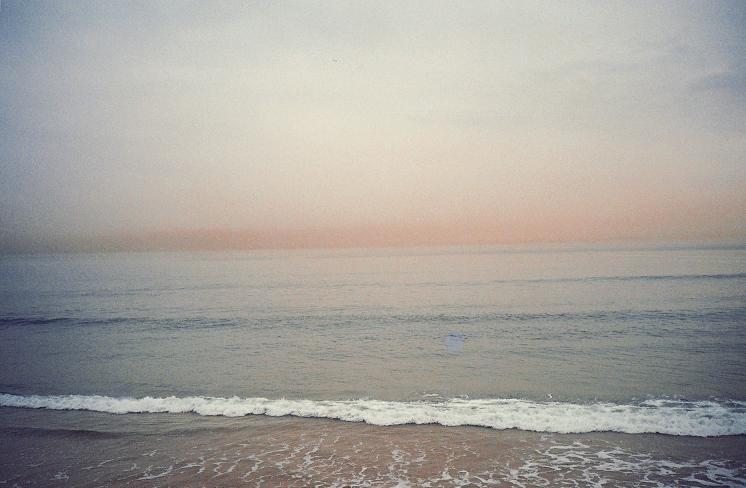 [Photo20_17+copy.JPG]