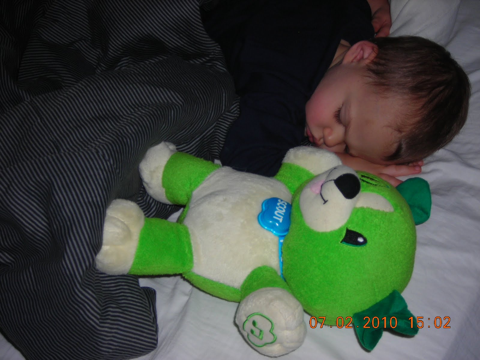 leapfrog text and learn