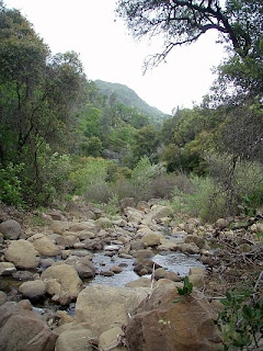 Cold Creek, Stebbins Cold Canyon Reserve, Solano County, California