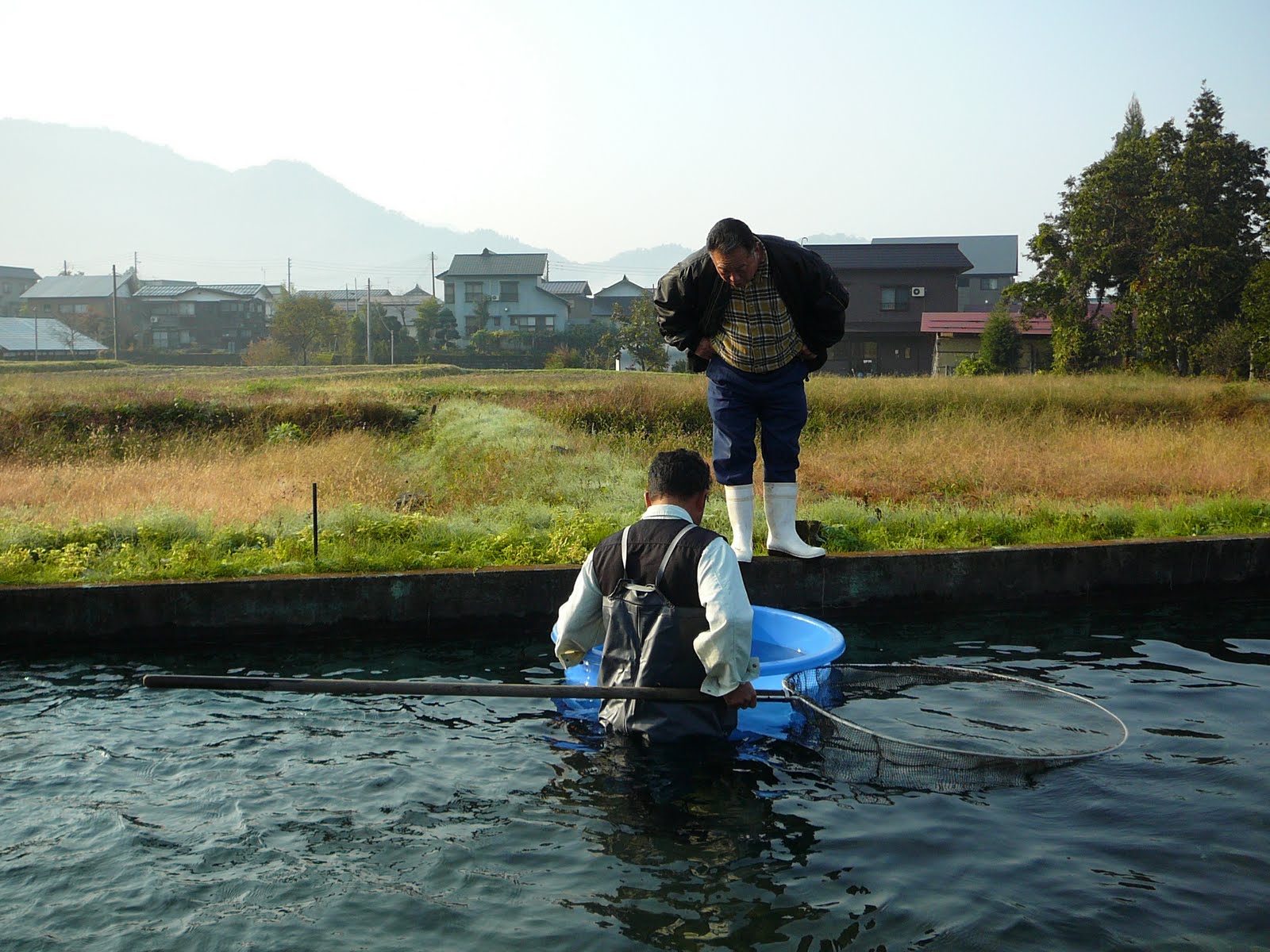 [buitenvijver+hirasawa5.JPG]