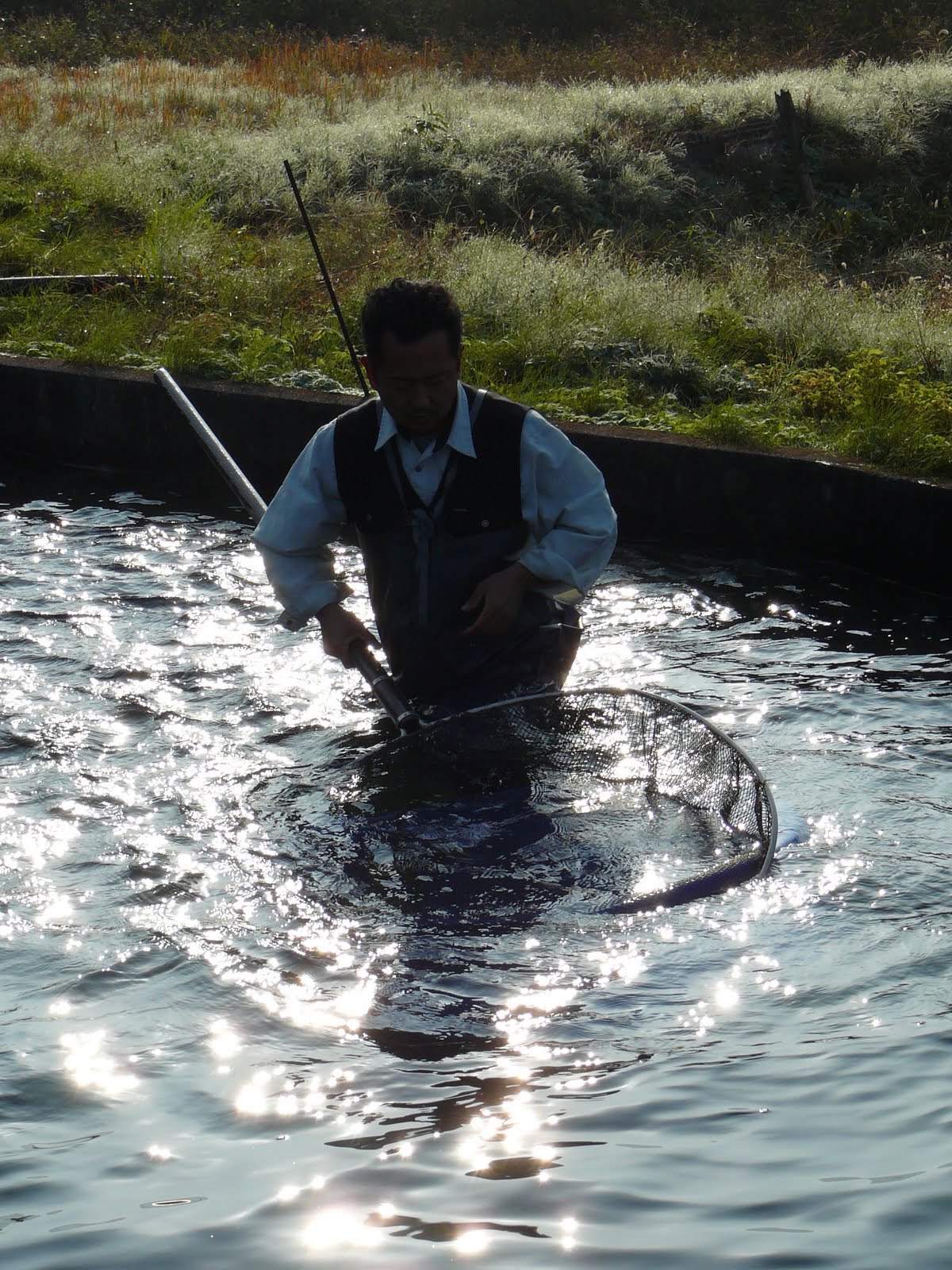 [buitenvijver+hirasawa7.JPG]