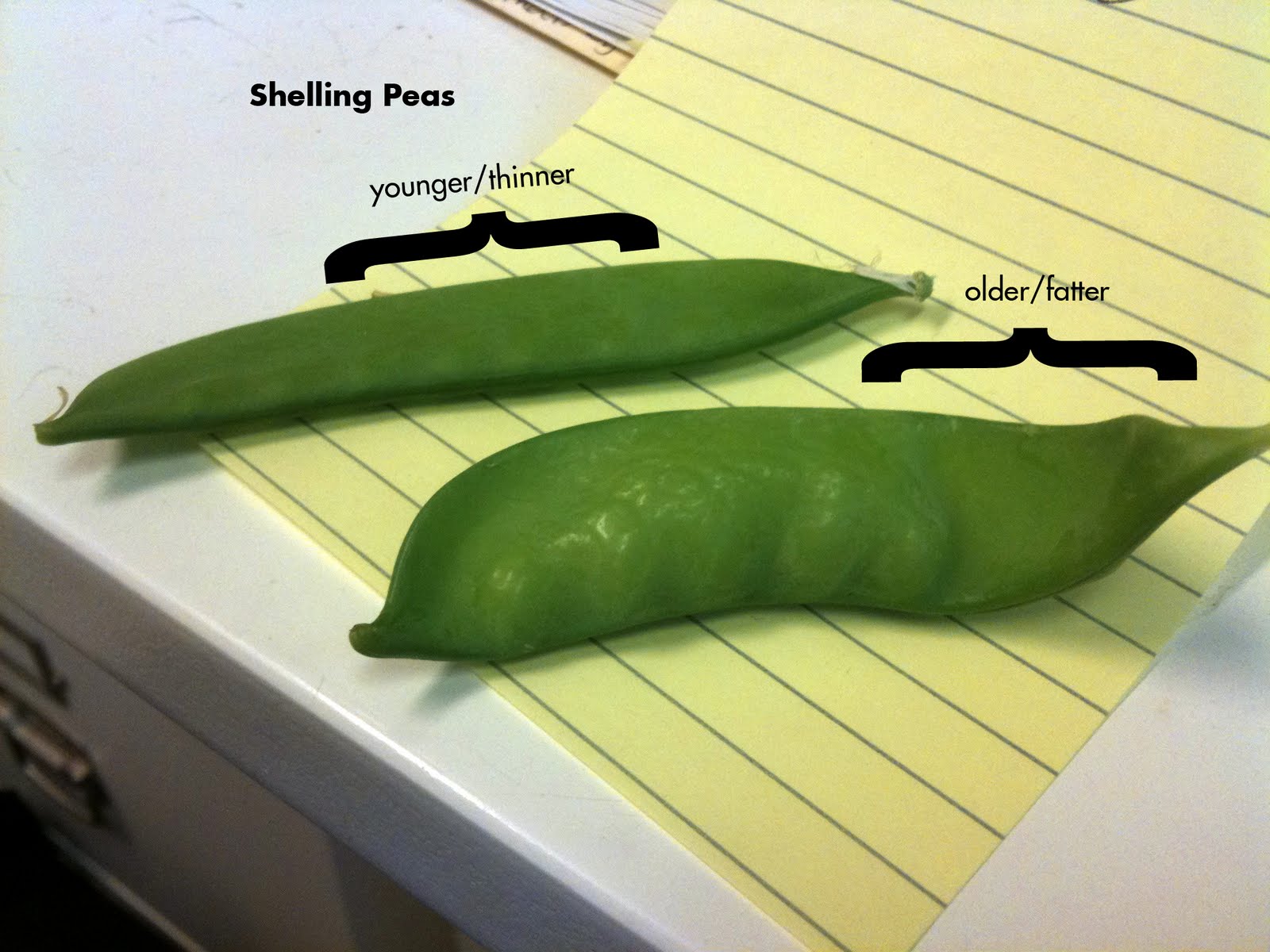 Pea Pics