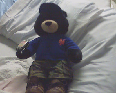 Gilly Bear on Steve Gilliard's hospital pillow. photo by Jenonymous Feb 25, 2007.