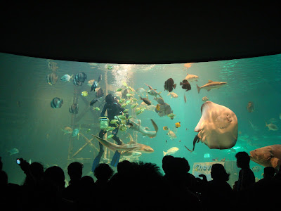 songkhla aquarium