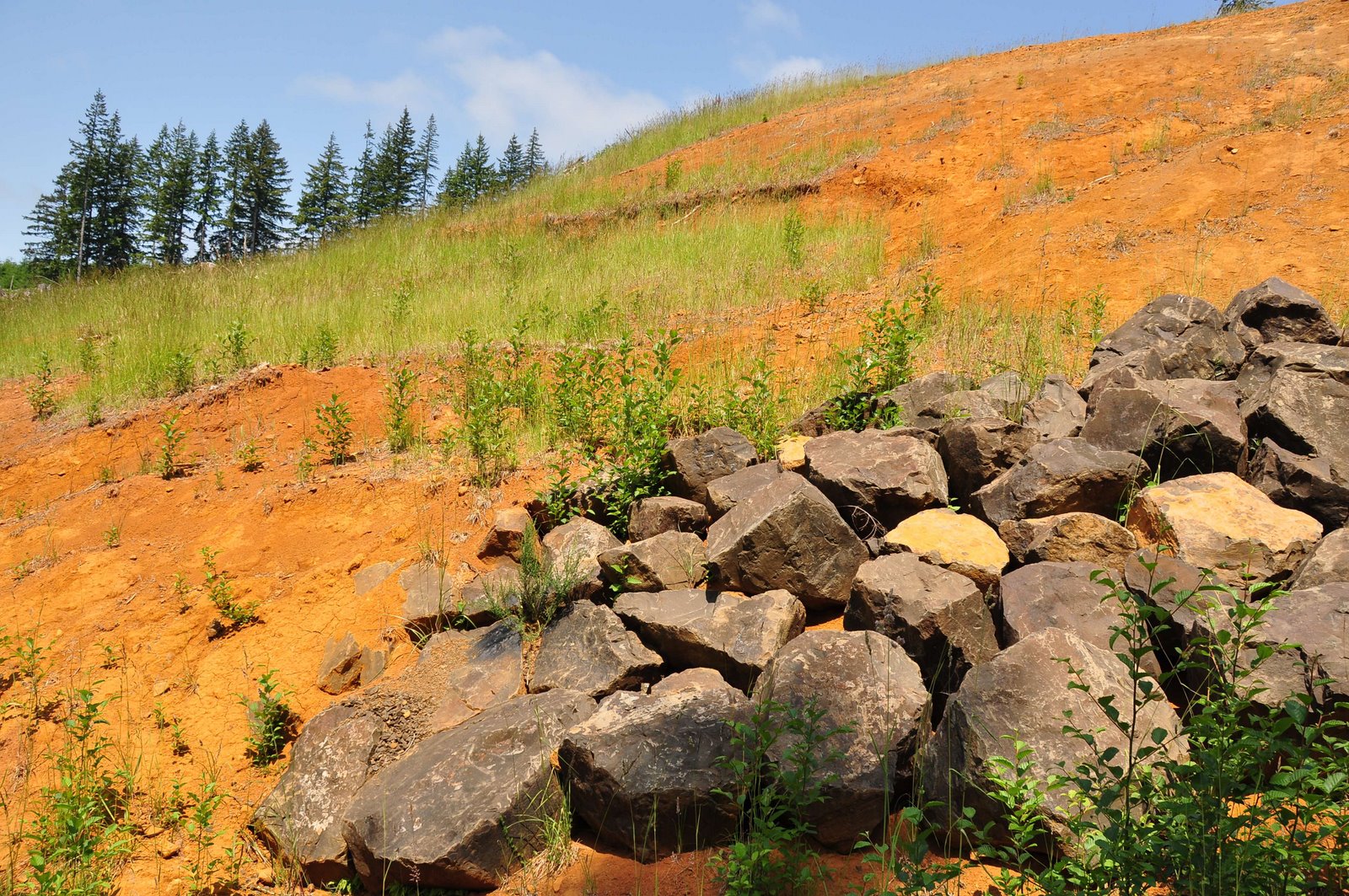 Nikon Sniper Blazing Orange Soil