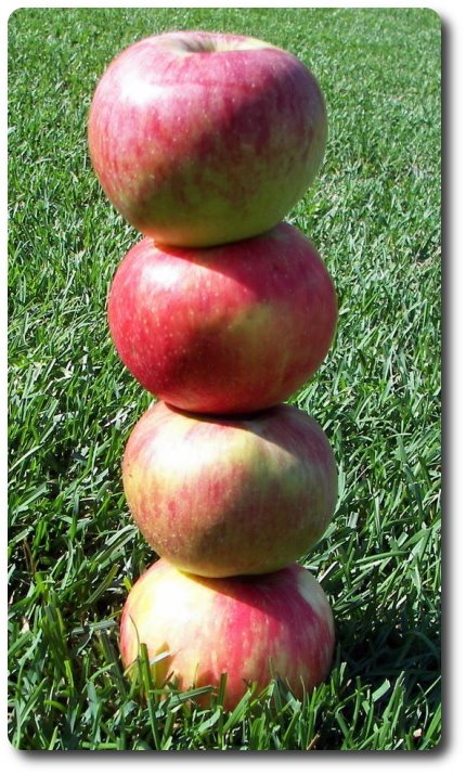 [applestack.jpg]