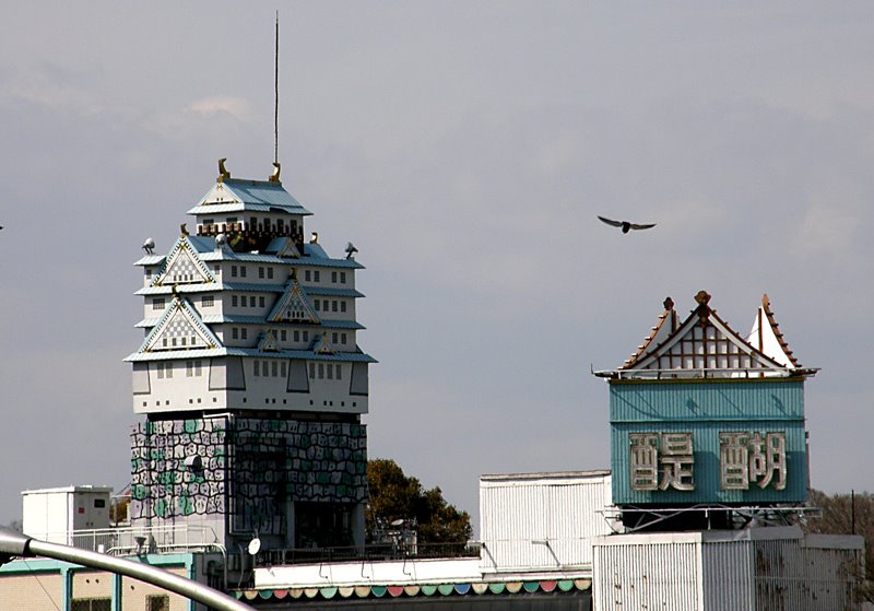 [P3290184.JPG]
