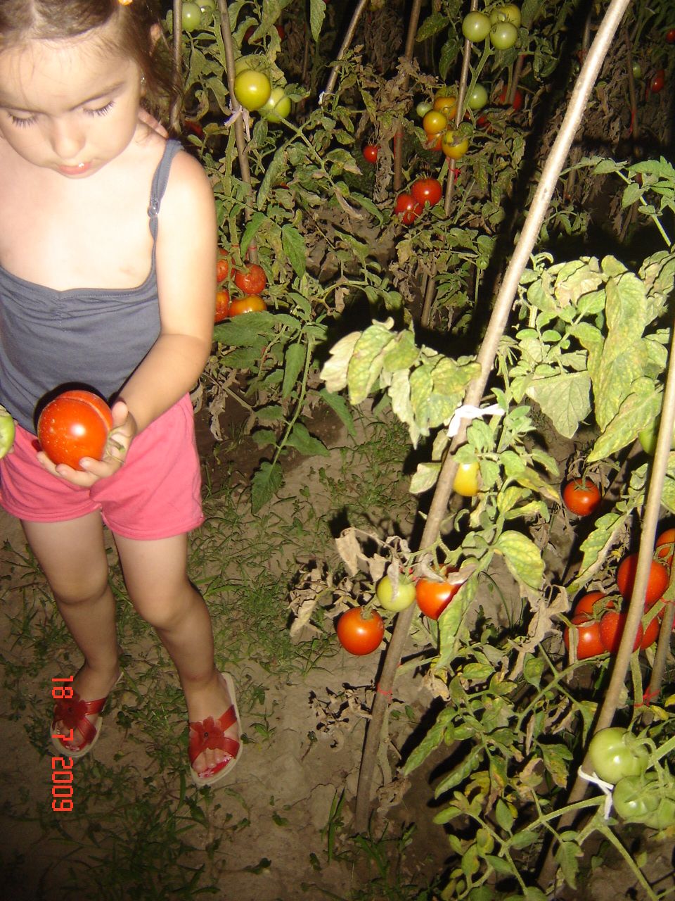 [DSC09413.JPG]