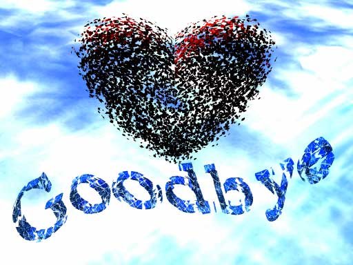 [bye.bmp]