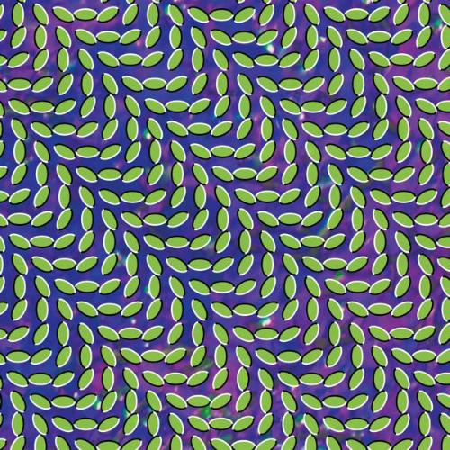 [Animal+Collective.jpg]