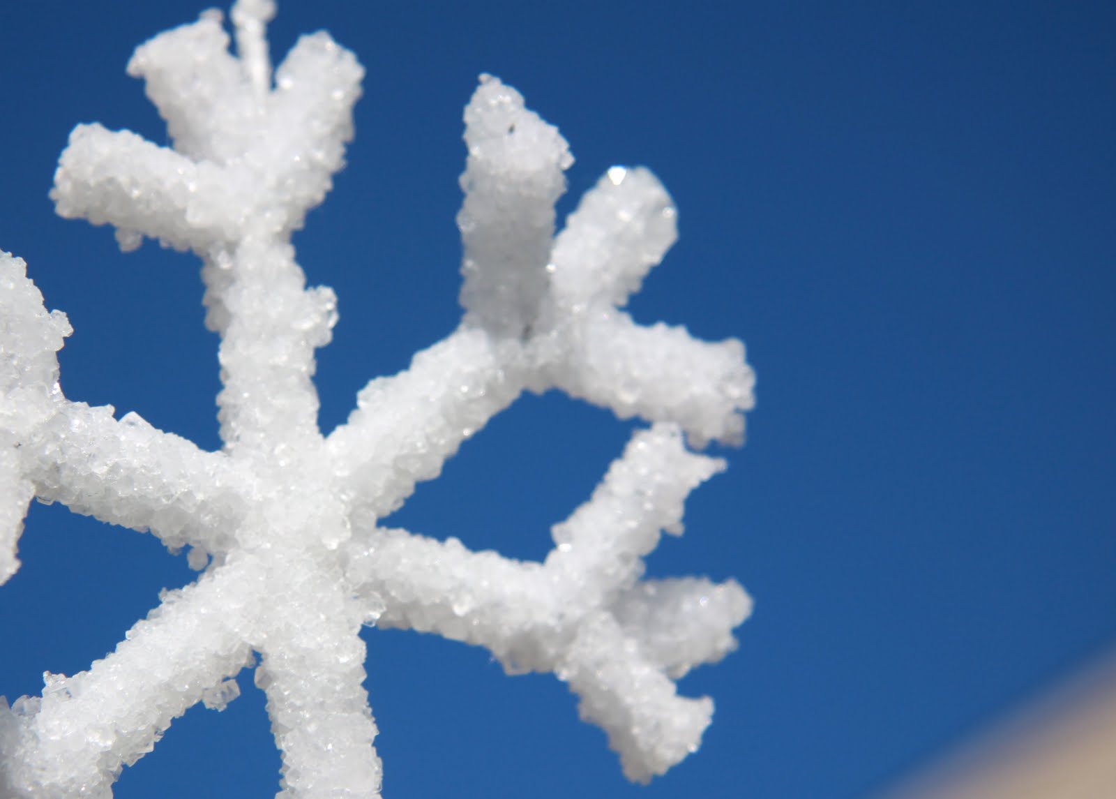 Finding Joy on the Journey: We Made Snowflakes!