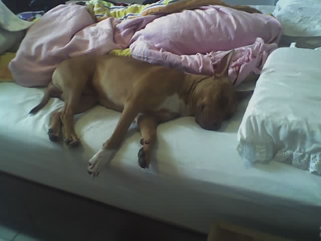 [11-06-07_0742.jpg]