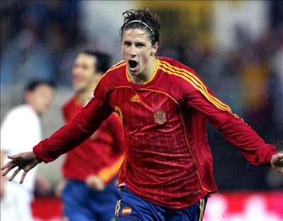 Fernando Torres World Cup 2010 Image