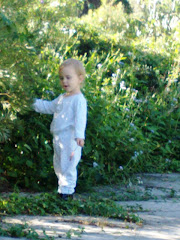 Sing to the plants...it looks cute :)