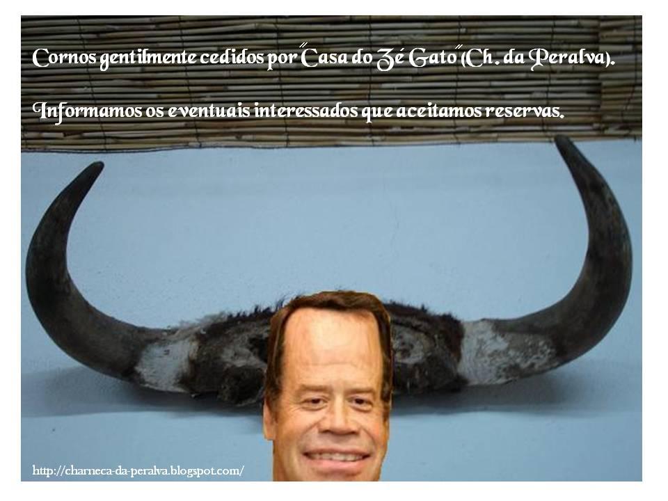 [Pinho.jpg]