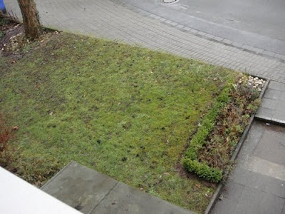 Gestaltungsideen für Vorgarten (Hauszugang) gesucht - Mein schöner