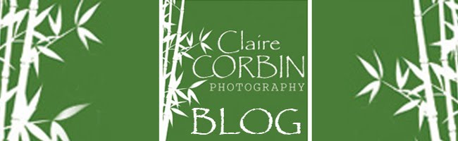 Claire Corbin Photography