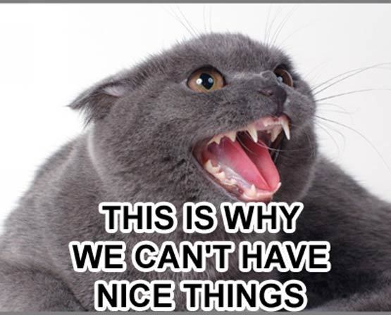 [why_we_cant_have_nice_things.jpg]