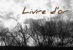 Vos commentaires , vos suggestions...