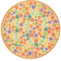 [colorblindtest1.gif]