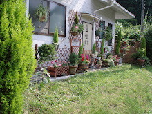 ~~*My House*~~