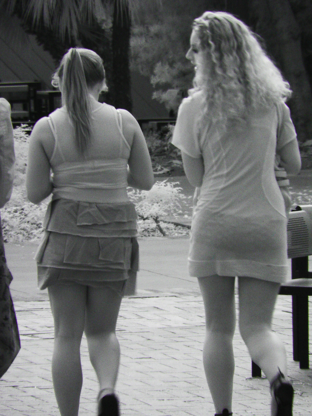 Xray vision girl laderfight