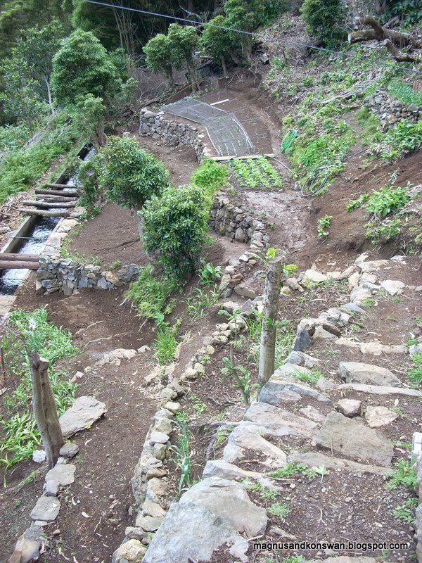 [DSCN0216.JPG]
