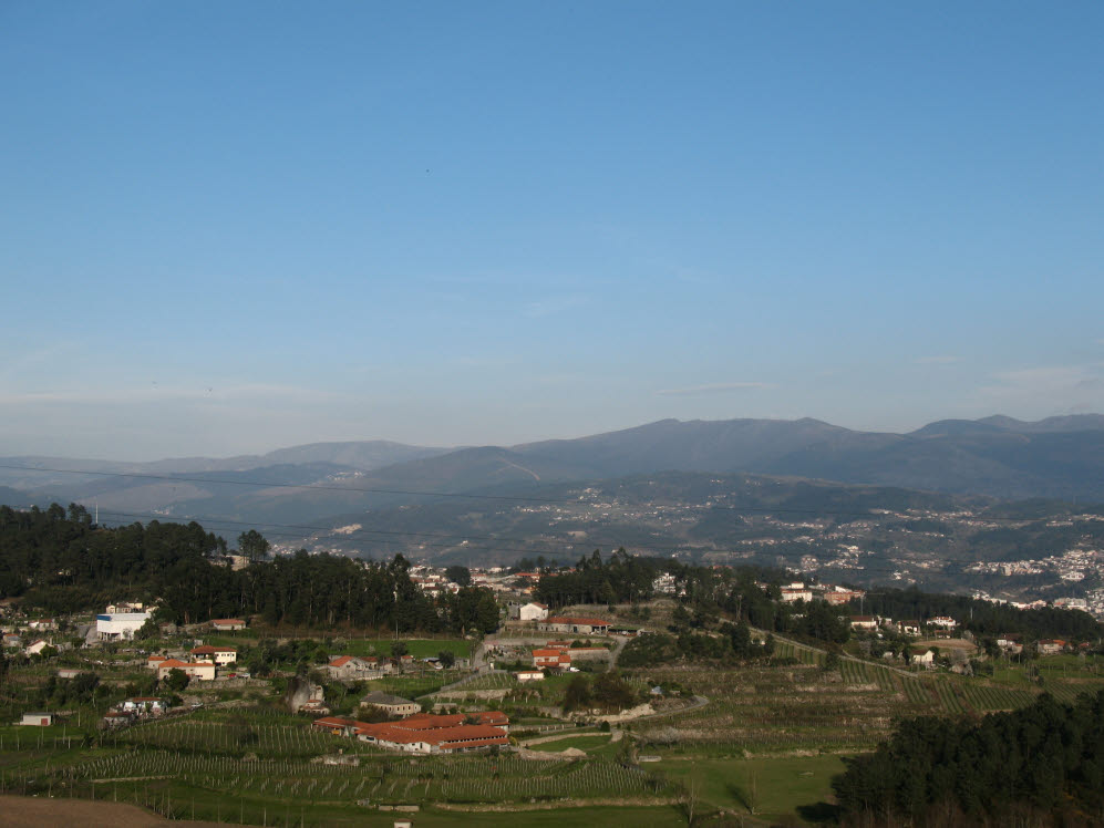 [IMG_3585.JPG]