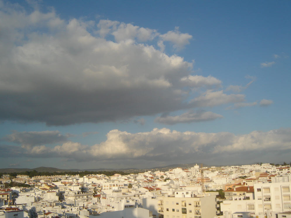 [2-3-2008+DSC01075d.JPG]