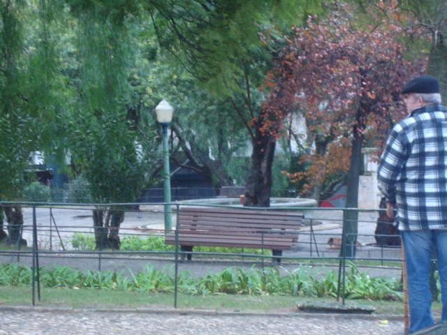 [DSC07083.JPG]