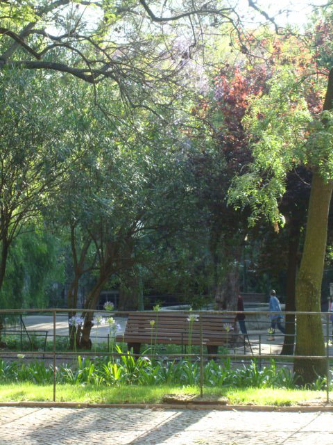 [DSC03955.JPG]