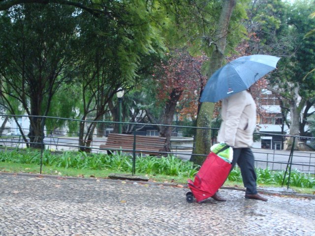 [DSC07105.JPG]
