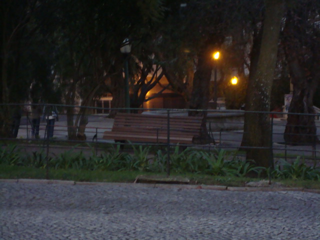 [DSC07460.JPG]