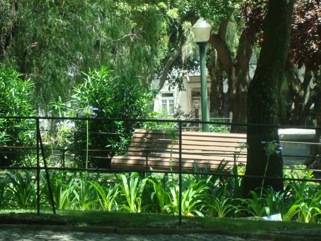 [DSC02242.JPG]