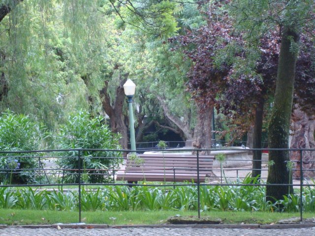 [DSC02287.JPG]