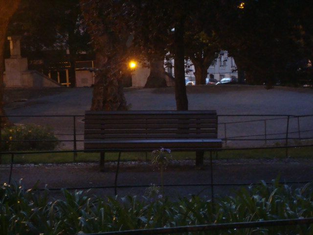 [DSC02295.JPG]